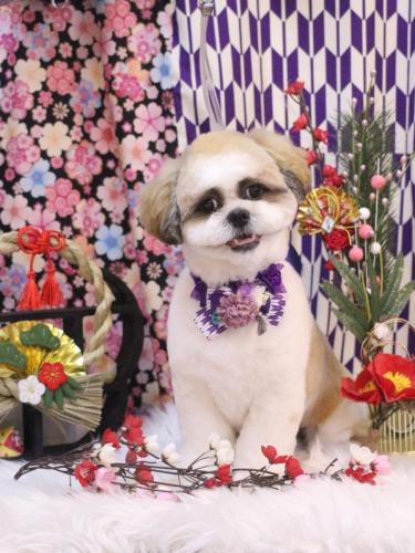 20250122ぽん吉くん